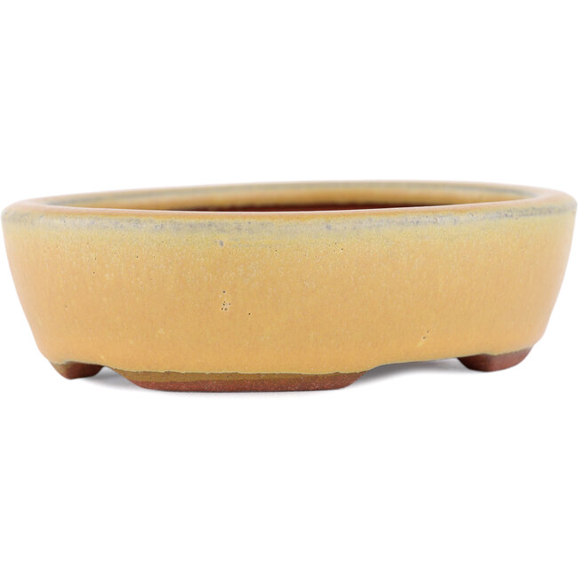 Ovaler ockerfarbener Bonsaitopf von Eime Yozan – 120 x 100 x 30 mm