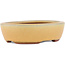 Vaso bonsai ovale ocra di Eime Yozan - 120 x 100 x 30 mm