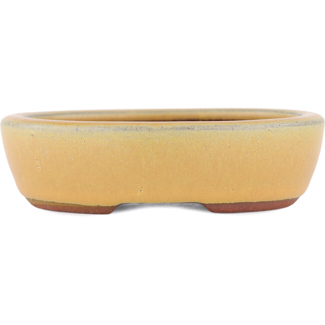 Maceta para bonsái ovalada ocre de Eime Yozan - 120 x 100 x 30 mm