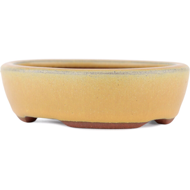 Oval ochre bonsai pot by Eime Yozan - 120 x 100 x 30 mm
