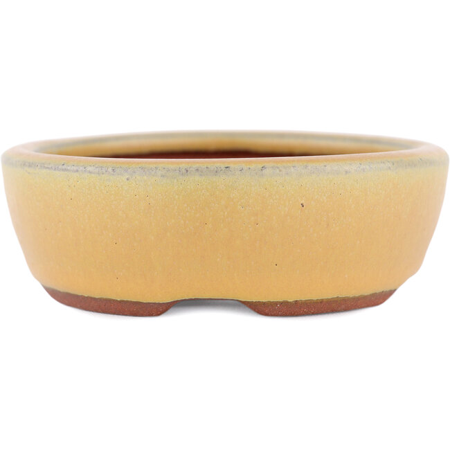 Maceta para bonsái ovalada ocre de Eime Yozan - 120 x 100 x 30 mm