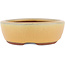 Pot à bonsaï ovale ocre par Eime Yozan - 120 x 100 x 30 mm