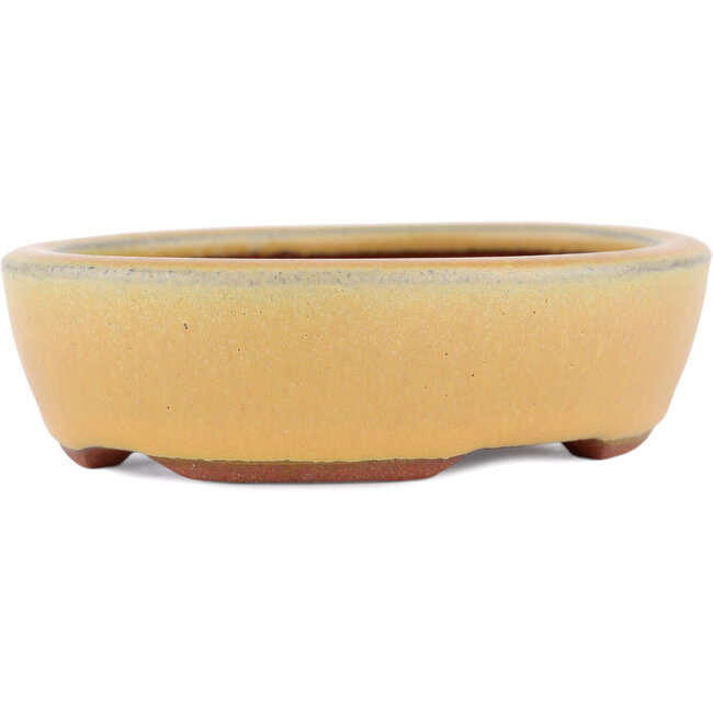 Vaso bonsai ovale ocra di Eime Yozan - 120 x 100 x 30 mm