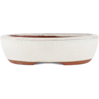  Eimei ( Yozan kiln) 120 mm  white bonsai pot by Eime Yozan, Tokoname, Japan