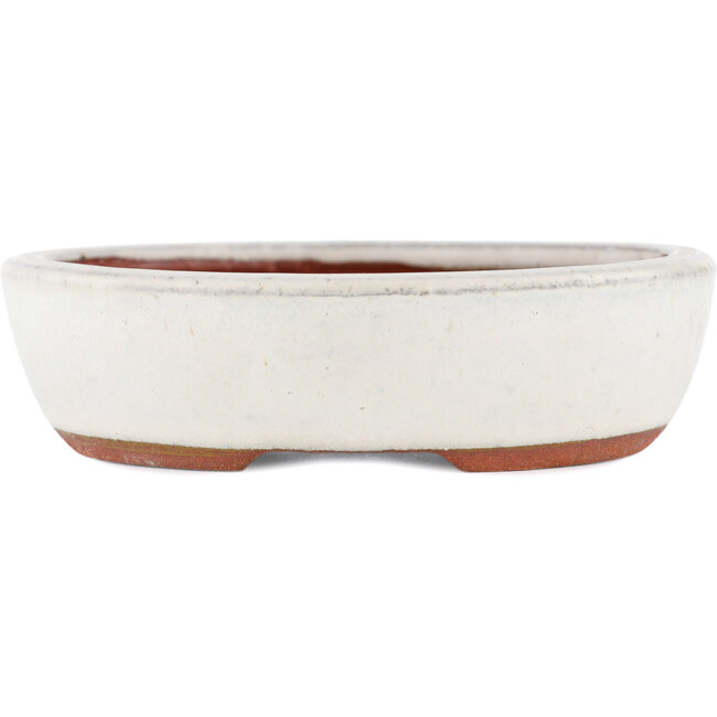 Vaso bonsai ovale bianco di Eime Yozan - 120 x 100 x 30 mm