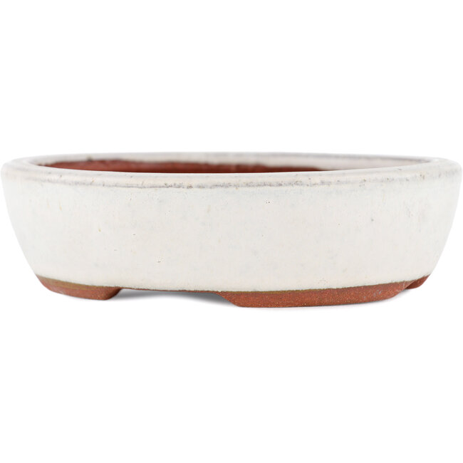 Ovale witte bonsaipot van Eime Yozan - 120 x 100 x 30 mm