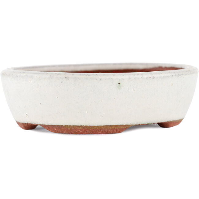 Vaso bonsai ovale bianco di Eime Yozan - 120 x 100 x 30 mm