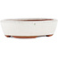 Vaso bonsai ovale bianco di Eime Yozan - 120 x 100 x 30 mm