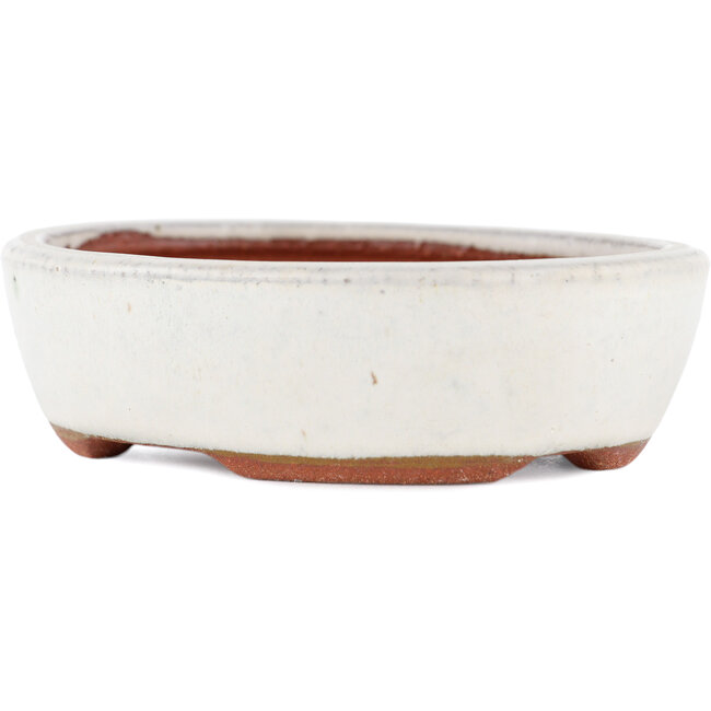 Vaso bonsai ovale bianco di Eime Yozan - 120 x 100 x 30 mm