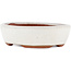 Vaso bonsai ovale bianco di Eime Yozan - 120 x 100 x 30 mm