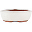 Vaso bonsai ovale bianco di Eime Yozan - 120 x 100 x 30 mm