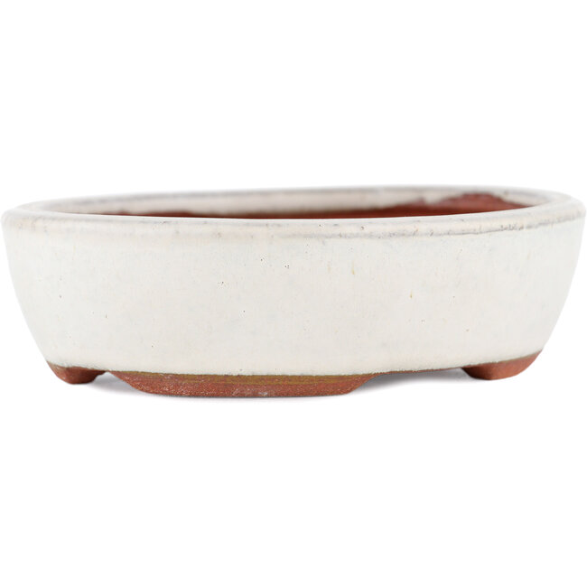 Ovaler weißer Bonsaitopf von Eime Yozan – 120 x 100 x 30 mm