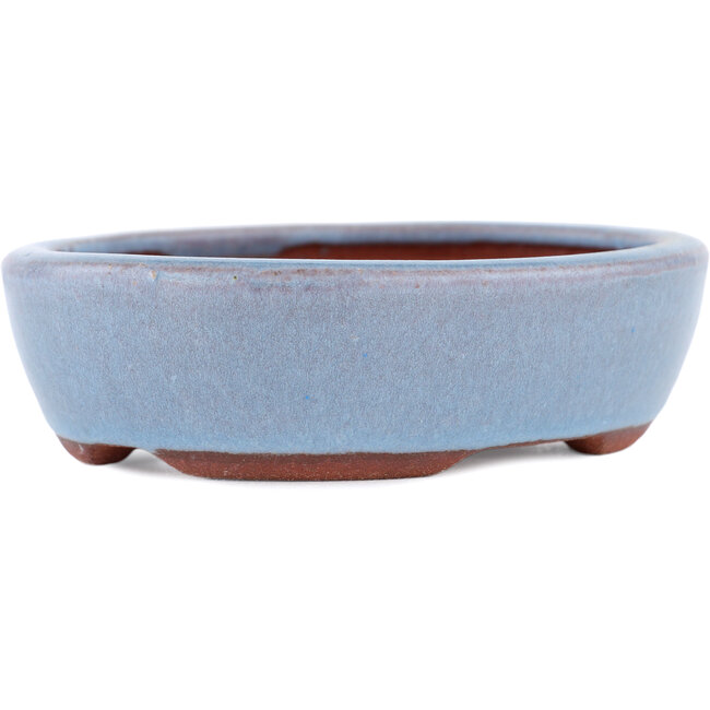 Maceta ovalada para bonsái azul de Eime Yozan - 120 x 100 x 30 mm