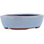 Pot à bonsaï ovale bleu par Eime Yozan - 120 x 100 x 30 mm