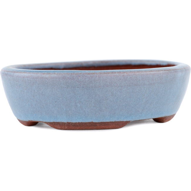 Vaso bonsai ovale blu di Eime Yozan - 120 x 100 x 30 mm