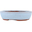 Maceta ovalada para bonsái azul de Eime Yozan - 120 x 100 x 30 mm