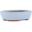 Maceta ovalada para bonsái azul de Eime Yozan - 120 x 100 x 30 mm