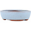 Vaso bonsai ovale blu di Eime Yozan - 120 x 100 x 30 mm