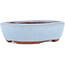 Vaso bonsai ovale blu di Eime Yozan - 120 x 100 x 30 mm