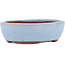 Maceta ovalada para bonsái azul de Eime Yozan - 95 x 85 x 28 mm