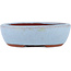 Maceta ovalada para bonsái azul de Eime Yozan - 95 x 85 x 28 mm