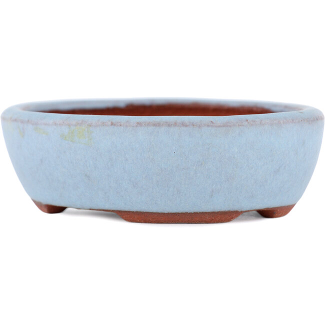 Maceta ovalada para bonsái azul de Eime Yozan - 95 x 85 x 28 mm