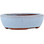 Vaso bonsai ovale blu di Eime Yozan - 95 x 85 x 28 mm