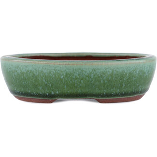 Eimei ( Yozan kiln) Maceta para bonsái verde de 120 mm de Eime Yozan, Tokoname, Japón  Eimei ( Yozan kiln) Maceta para bonsái verde de 120 mm de Eime Yozan, Tokoname, Japón