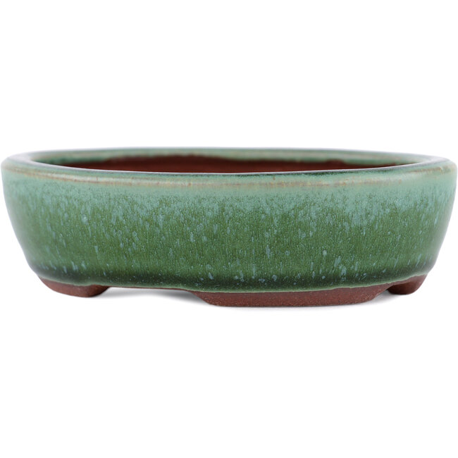 Ovaler grüner Bonsaitopf von Eime Yozan – 120 x 100 x 30 mm