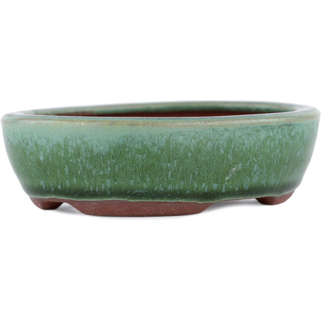 Vaso bonsai ovale verde di Eime Yozan - 120 x 100 x 30 mm