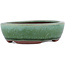 Pot à bonsaï ovale vert par Eime Yozan - 120 x 100 x 30 mm