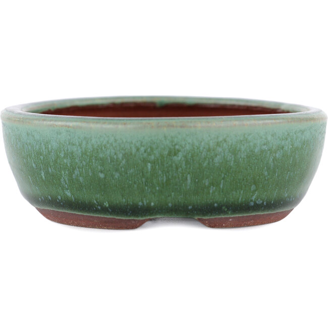 Vaso bonsai ovale verde di Eime Yozan - 120 x 100 x 30 mm