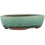 Maceta ovalada para bonsái verde de Eime Yozan - 120 x 100 x 30 mm
