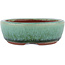 Maceta ovalada para bonsái verde de Eime Yozan - 120 x 100 x 30 mm