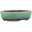 Vaso bonsai ovale verde di Eime Yozan - 120 x 100 x 30 mm