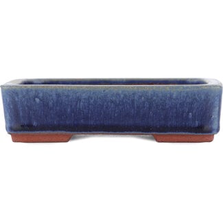  Eimei ( Yozan kiln) 140 mm blaue Bonsaischale von Eime Yozan, Tokoname, Japan