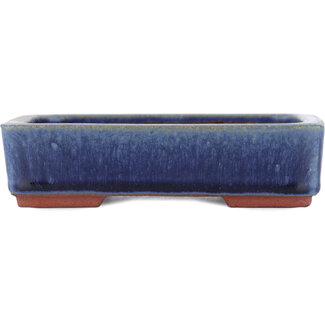  Eimei ( Yozan kiln) Pot à bonsaï bleu 140 mm par Eime Yozan, Tokoname, Japon