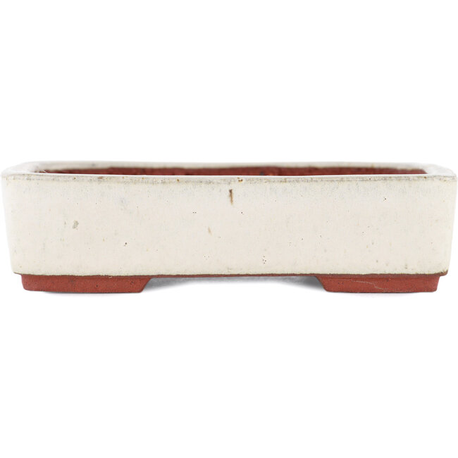 Rectangular off-white bonsai pot by Eime Yozan - 140 x 105 x 35 mm