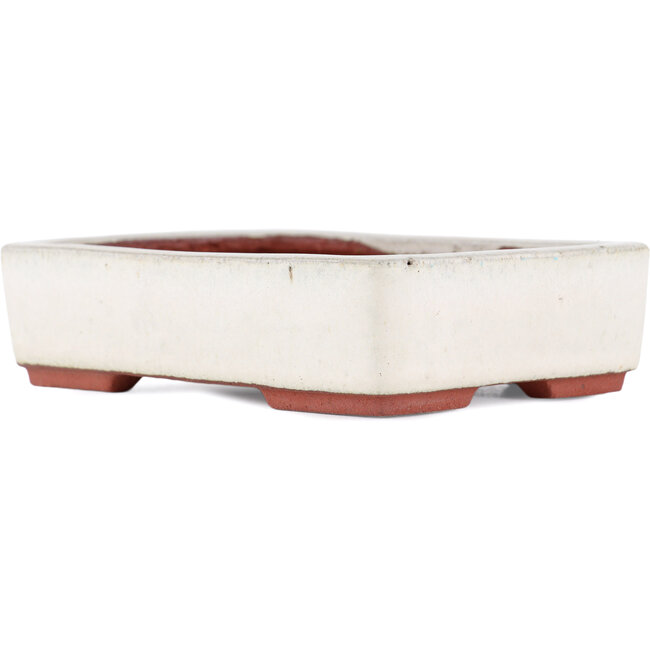 Pot à bonsaï rectangulaire blanc cassé par Eime Yozan - 140 x 105 x 35 mm