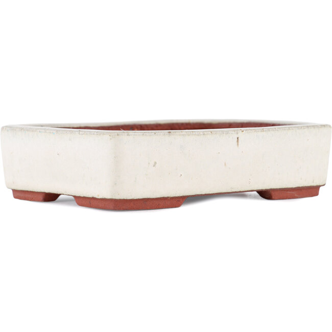 Pot à bonsaï rectangulaire blanc cassé par Eime Yozan - 140 x 105 x 35 mm