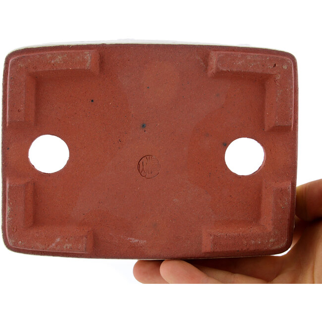 Rectangular off-white bonsai pot by Eime Yozan - 140 x 105 x 35 mm