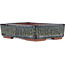 Rechthoekige bruine bonsaipot van Eime Yozan - 140 x 105 x 35 mm