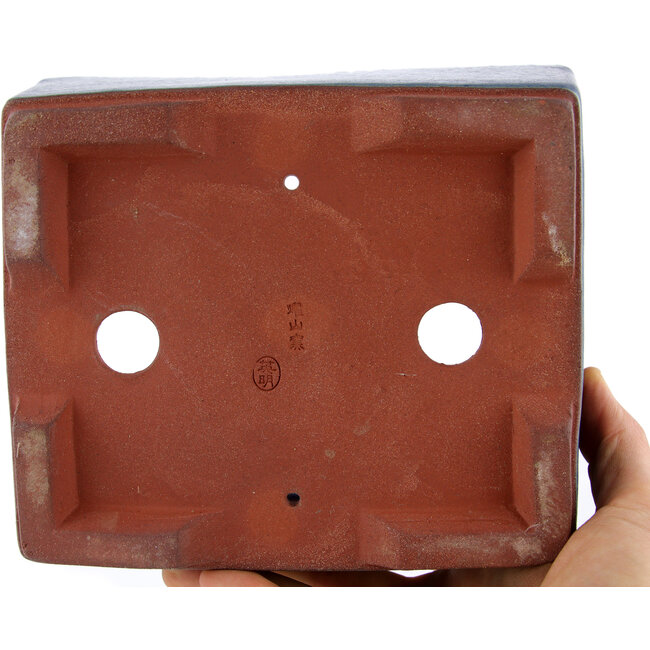 Maceta rectangular para bonsái azul de Eime Yozan - 177 x 152 x 74 mm