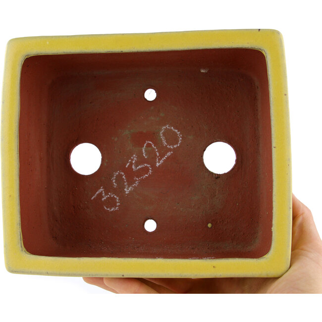 Rechteckiger gelber Bonsaitopf von Eime Yozan – 177 x 152 x 74 mm