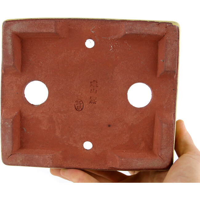 Vaso bonsai rettangolare giallo di Eime Yozan - 177 x 152 x 74 mm