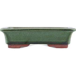  Eimei ( Yozan kiln) Pot à bonsaï vert 142 mm par Eime Yozan, Tokoname, Japon