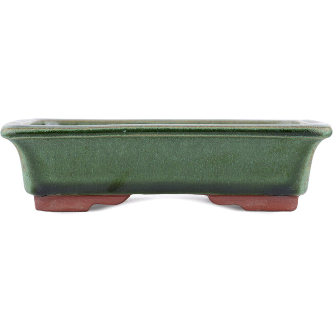 Pot à bonsaï vert rectangulaire par Eime Yozan - 142 x 109 x 35 mm