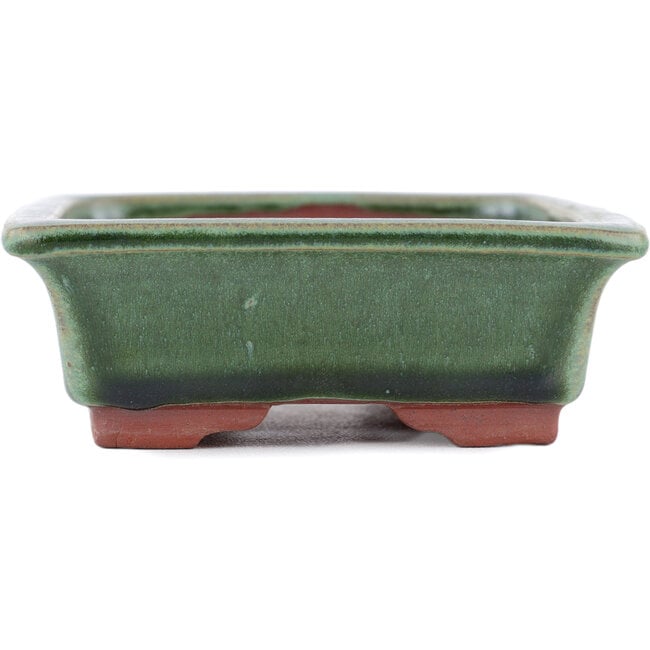 Rectangular green bonsai pot by Eime Yozan - 142 x 109 x 35 mm