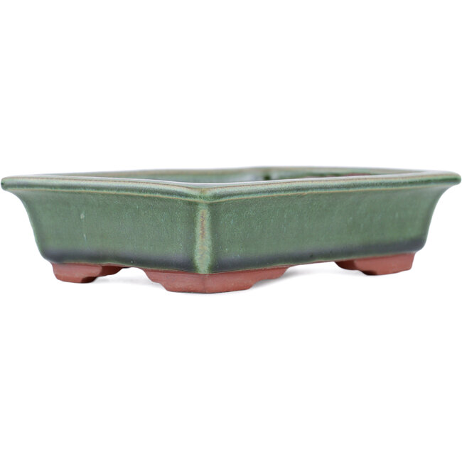 Vaso bonsai rettangolare verde di Eime Yozan - 142 x 109 x 35 mm