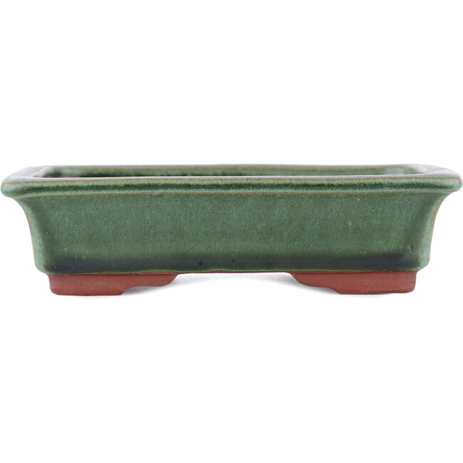 Maceta rectangular para bonsái verde de Eime Yozan - 142 x 109 x 35 mm